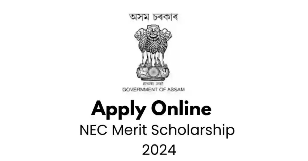 APSC ORG NEC Merit Scholarship 2024